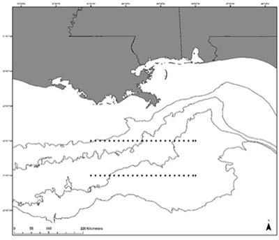 Taxonomic Richness and Diversity of Larval Fish Assemblages in the Oceanic Gulf of Mexico: Links to Oceanographic Conditions